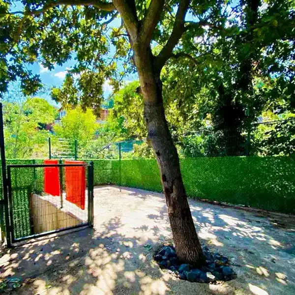 Neşeli Pet Otel